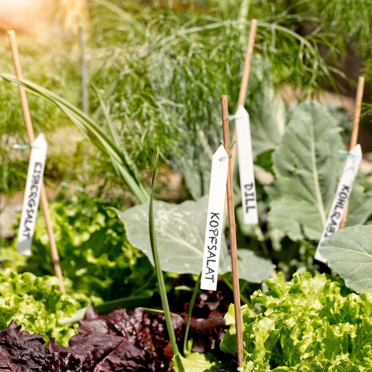 Windhager  Binde-Etiketten 25 Stück Bild 1