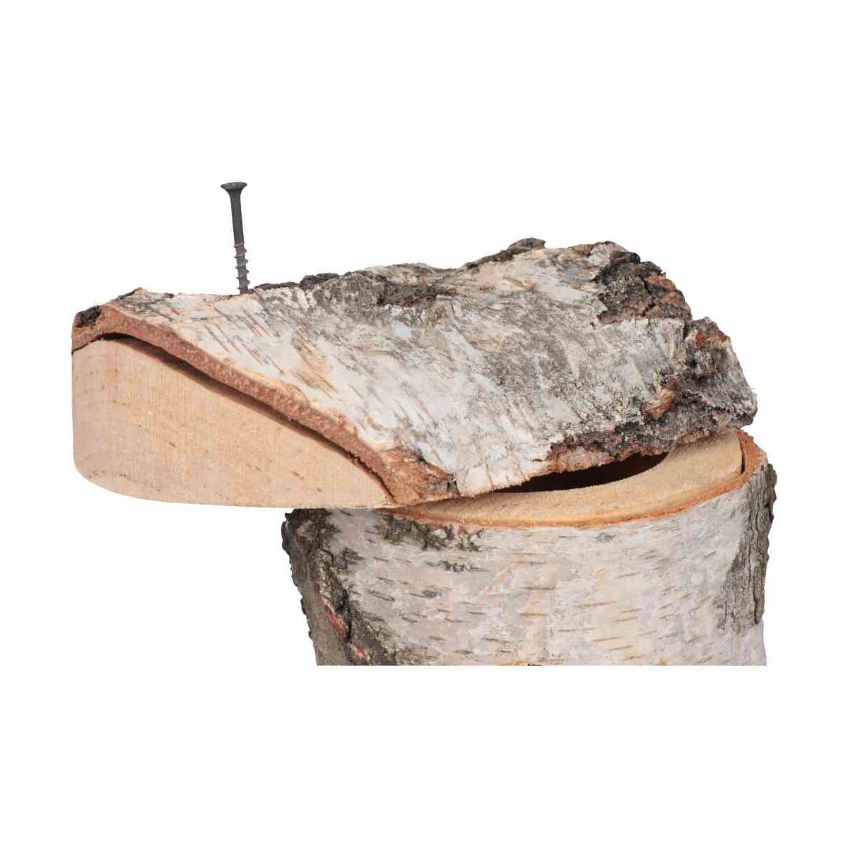 Siena Garden  Nistkasten Birke 32 mm Bild 3