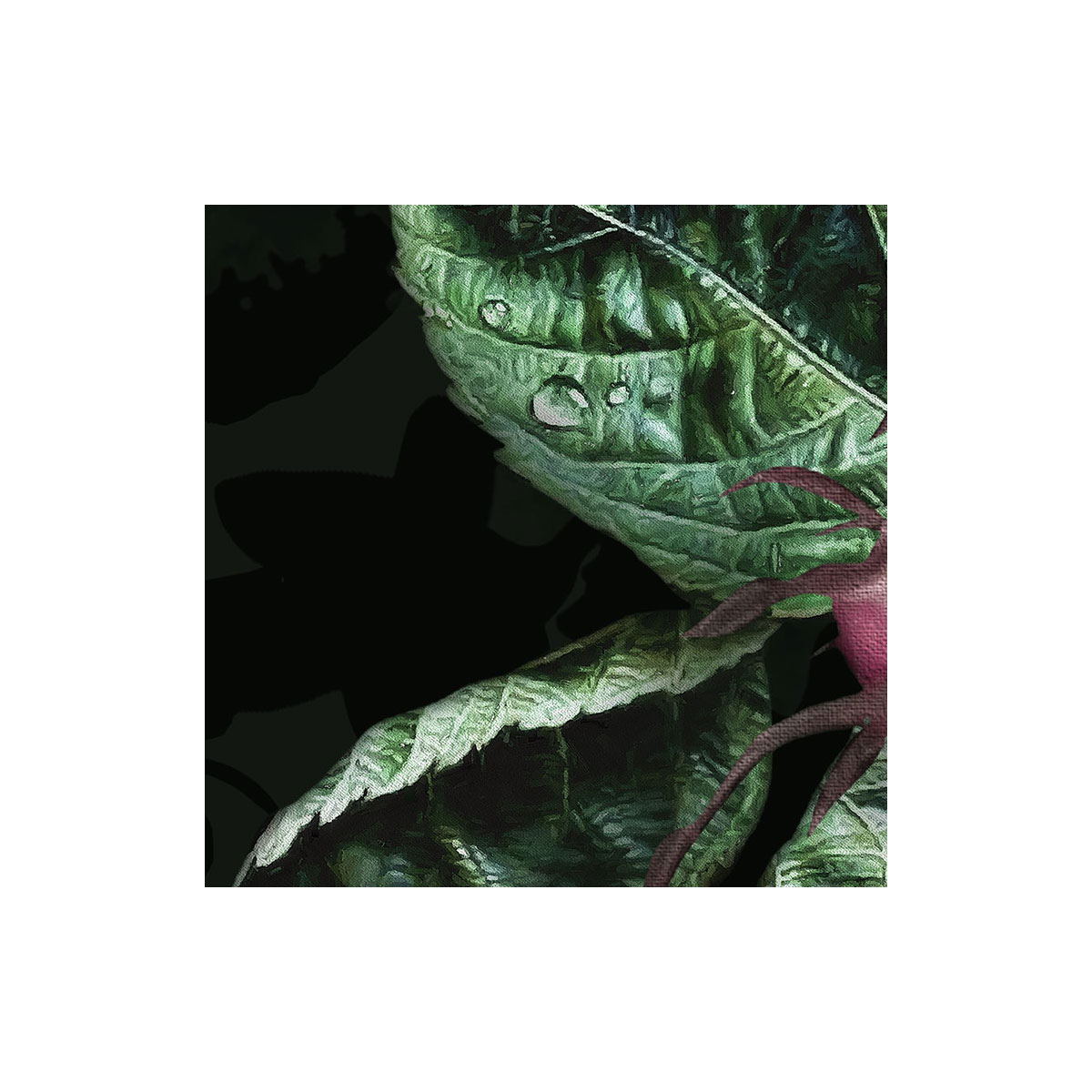 Komar  Vlies Fototapete Victoria Black 400x250 cm Bild 8