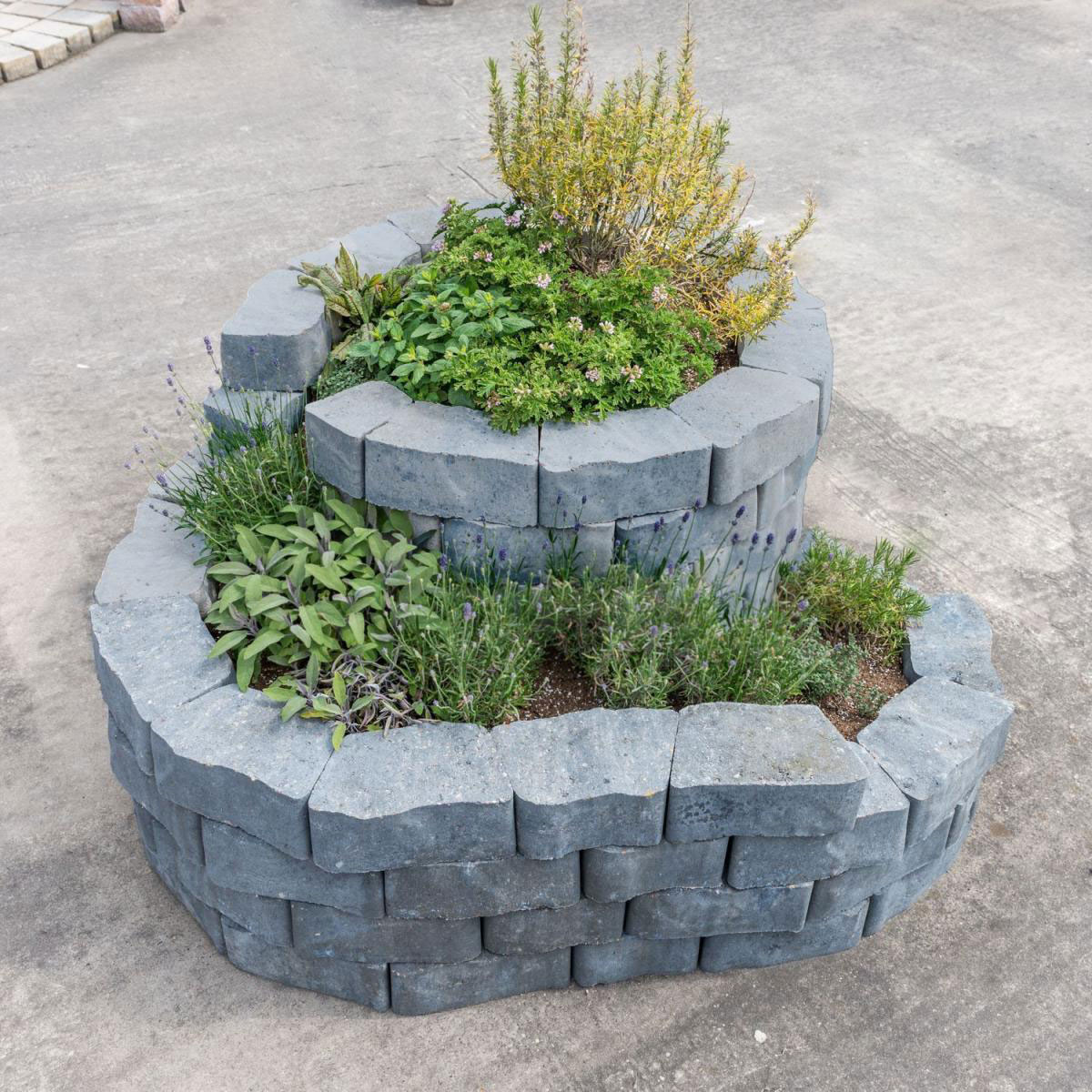 Diephaus  Kräuterschnecke 160 x 140 cm Quarzit