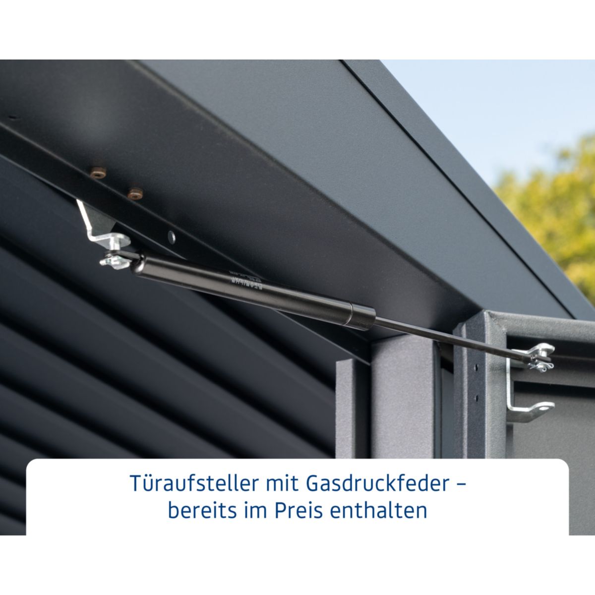 EcoStar  Gerätehaus Elegant-PTyp 2RAL5014 2 flg Bild 7