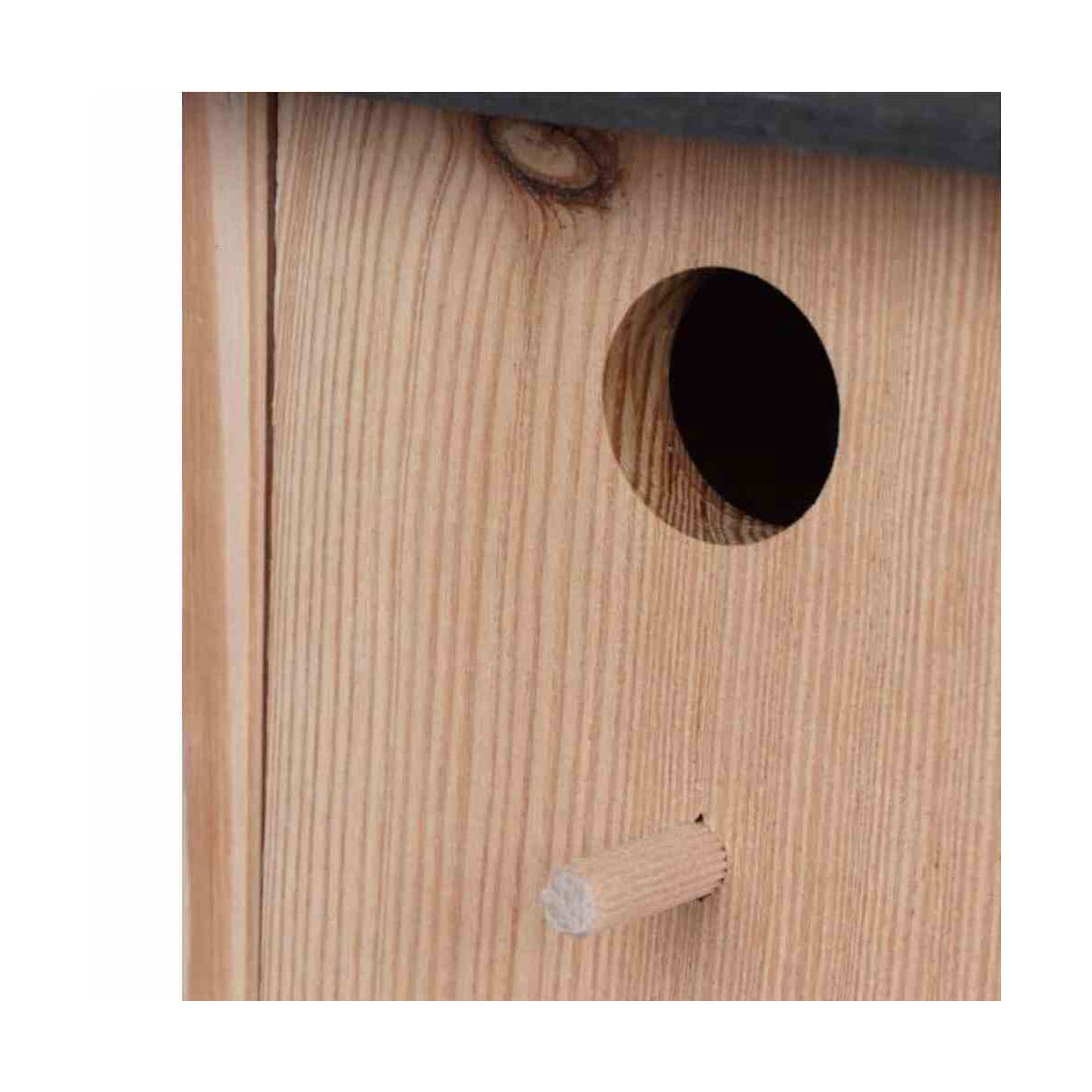 Siena Garden  Nistkasten Ruby 30 mm Bild 3
