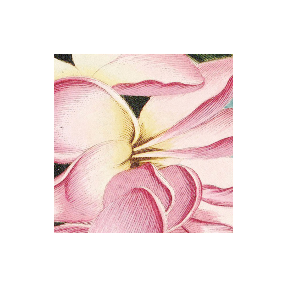 Komar  Vlies Fototapete Birds and Berries 200x250 cm Bild 4