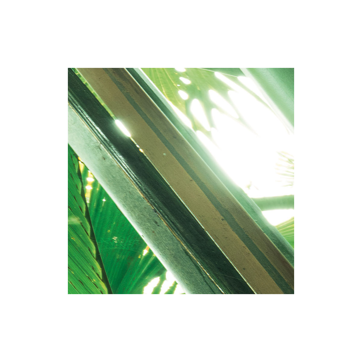 Komar  Vlies Fototapete Dschungeldach II 450x280 cm Bild 7