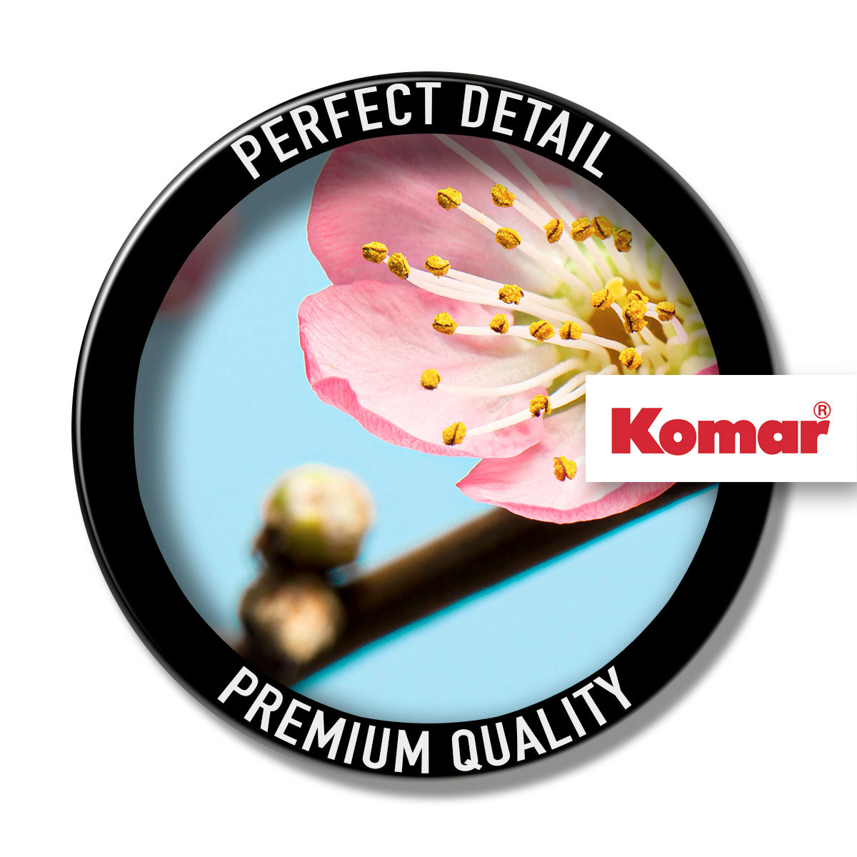 Komar  Vlies Fototapete Peach Blossom 350x250 cm Bild 3
