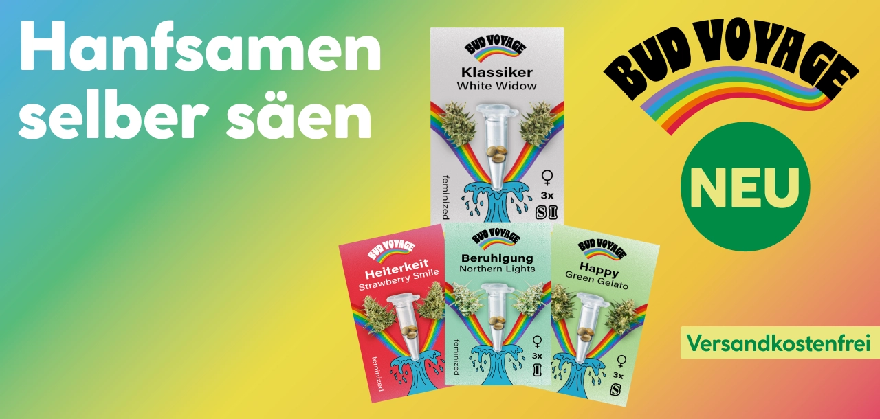 Hanfsamen selber säen: Bud Voyage NEU - Versandkostenfrei