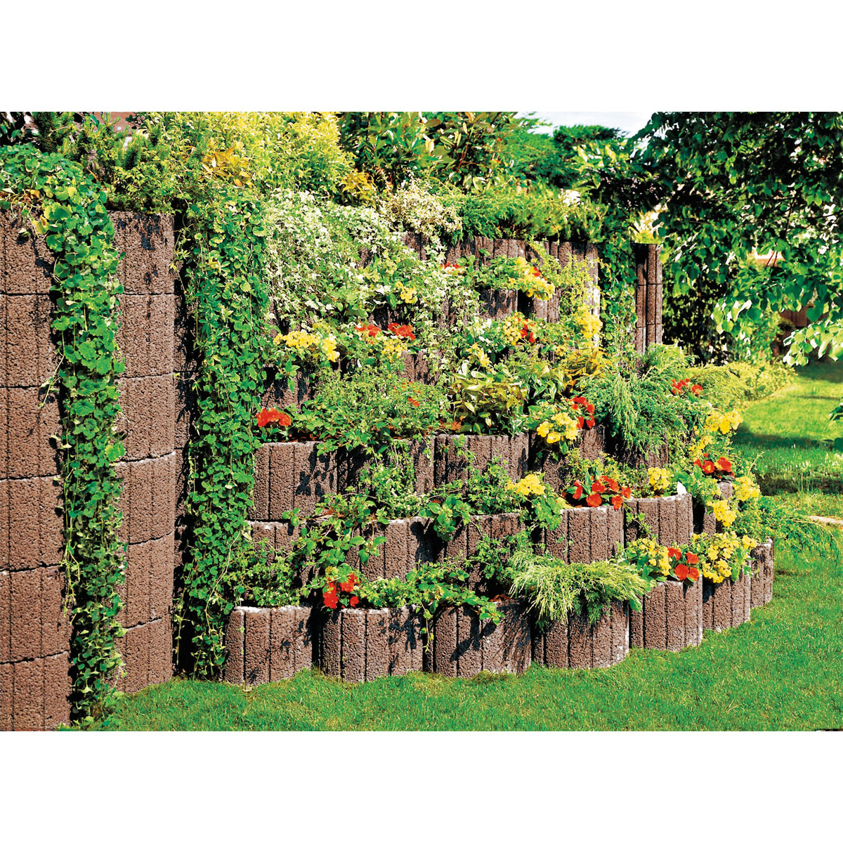 Lusit  Pflanzring groß Erdbraun Bild 2