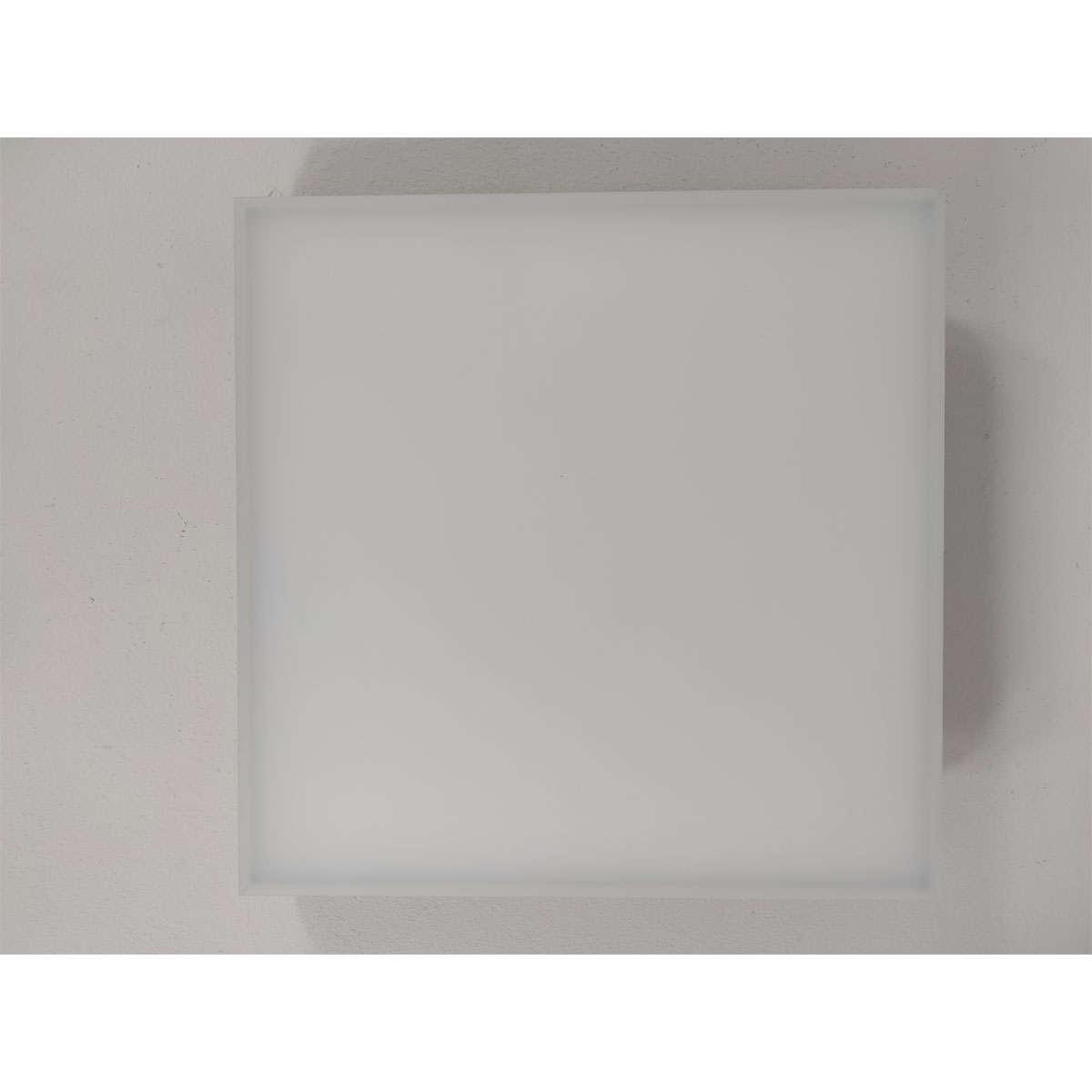 Paulmann LED-Panel Velora 22,5 x 22,5 cm dimmbar weiß