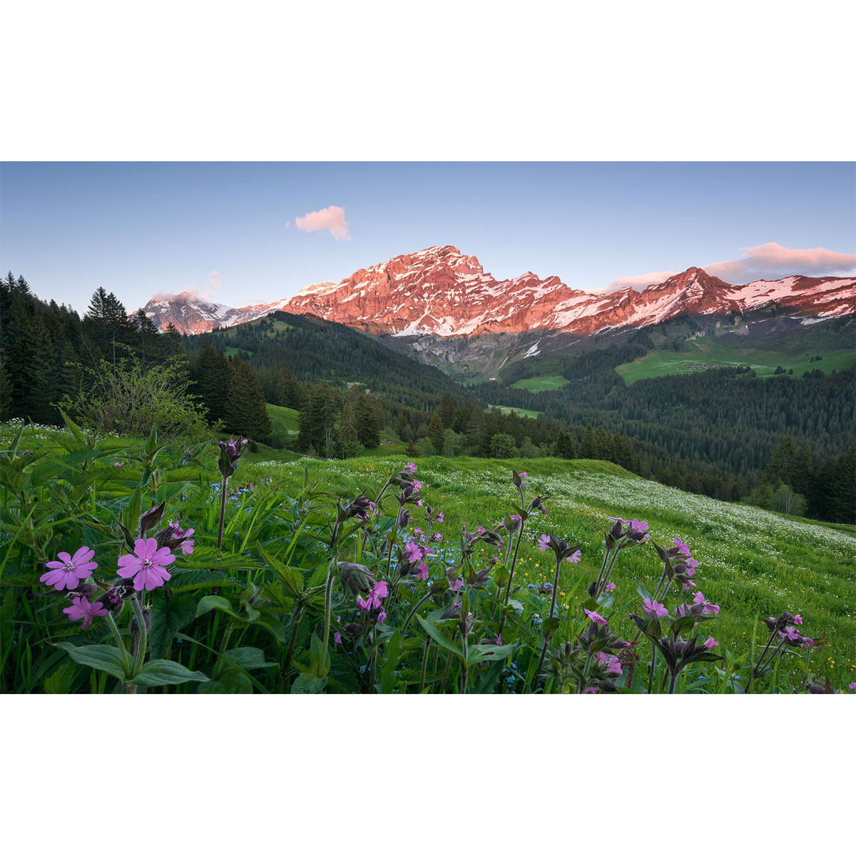 Komar  Vlies Fototapete Picturesque Switzerland 450x280 cm Bild 2