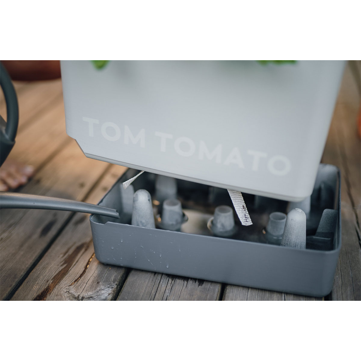 Anzuchtsgefäß Tom Tomato hellgrau Bild 1