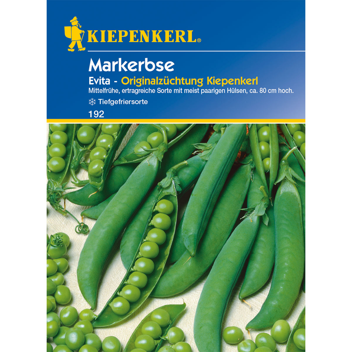 Kiepenkerl Markerbse Evita