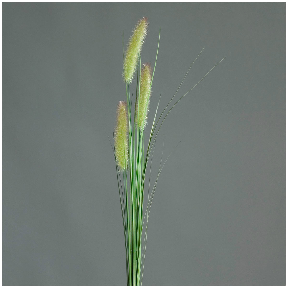 Graswedel 85 cm green