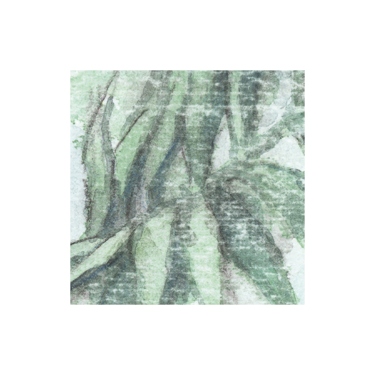 Komar  Vlies Fototapete Silva 350x250 cm Bild 6