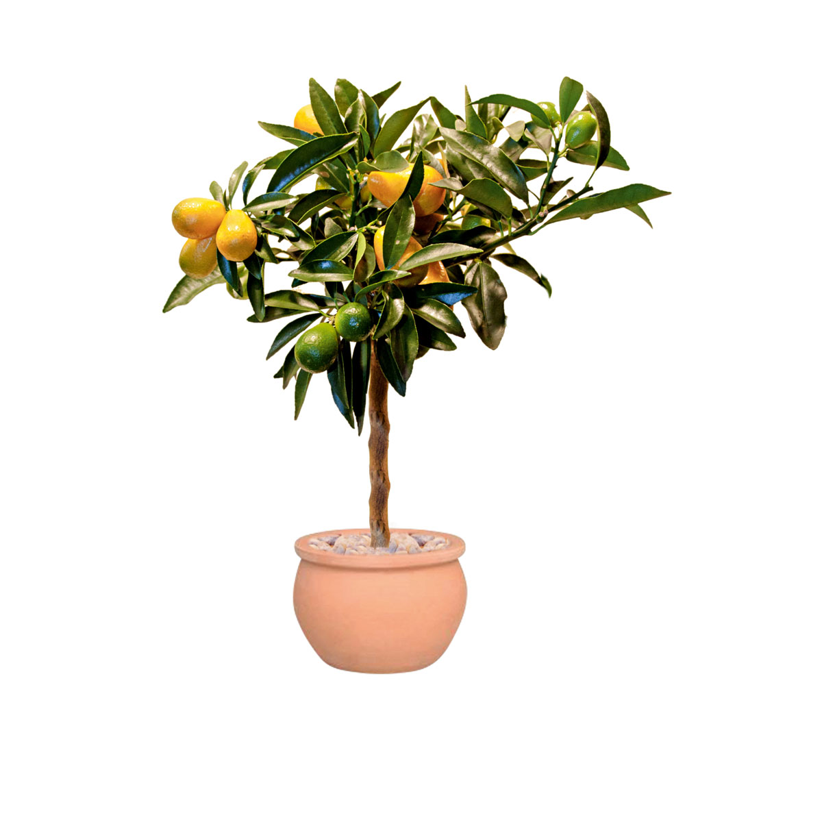 Haveson Pflanztopf Bavaria Durchmesser 40 cm Bild 3