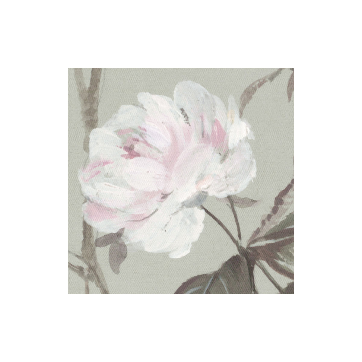 Komar  Vlies Fototapete Rosellia 350x250 cm Bild 3