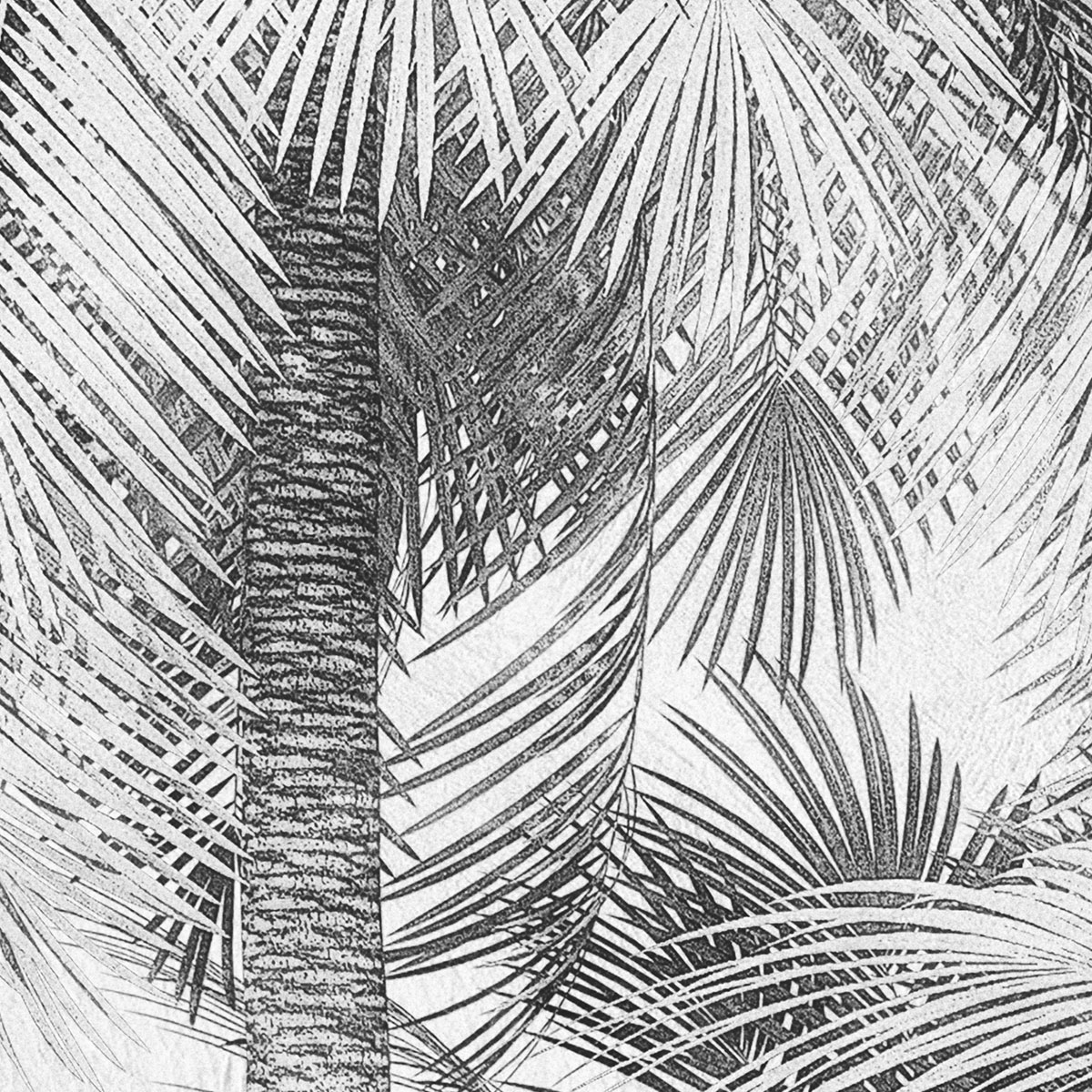 Komar  Vlies Fototapete Cocco 200x250 cm Bild 3