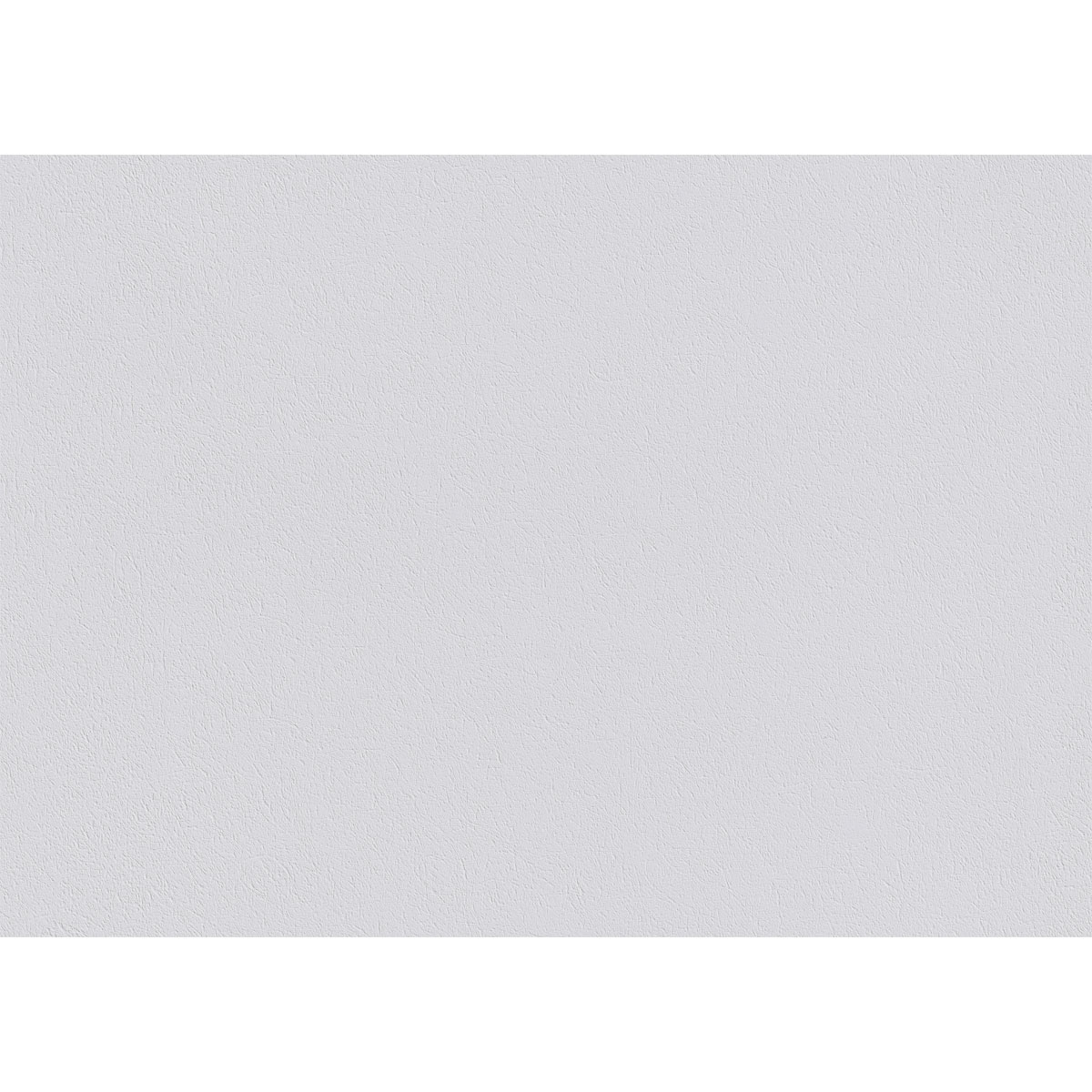 Erfurt  Glattvlies Variovlies Sisal weiß 2500 x 75 cm Bild 2