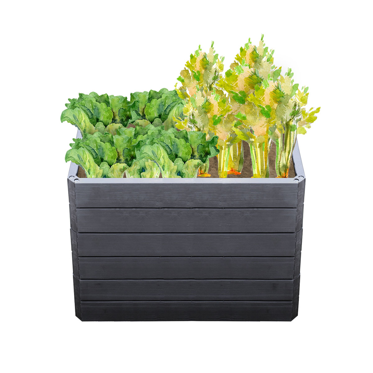 Garantia Hochbeet ERGO QUADRO M 75 Wood inkl FLORA Bild 3