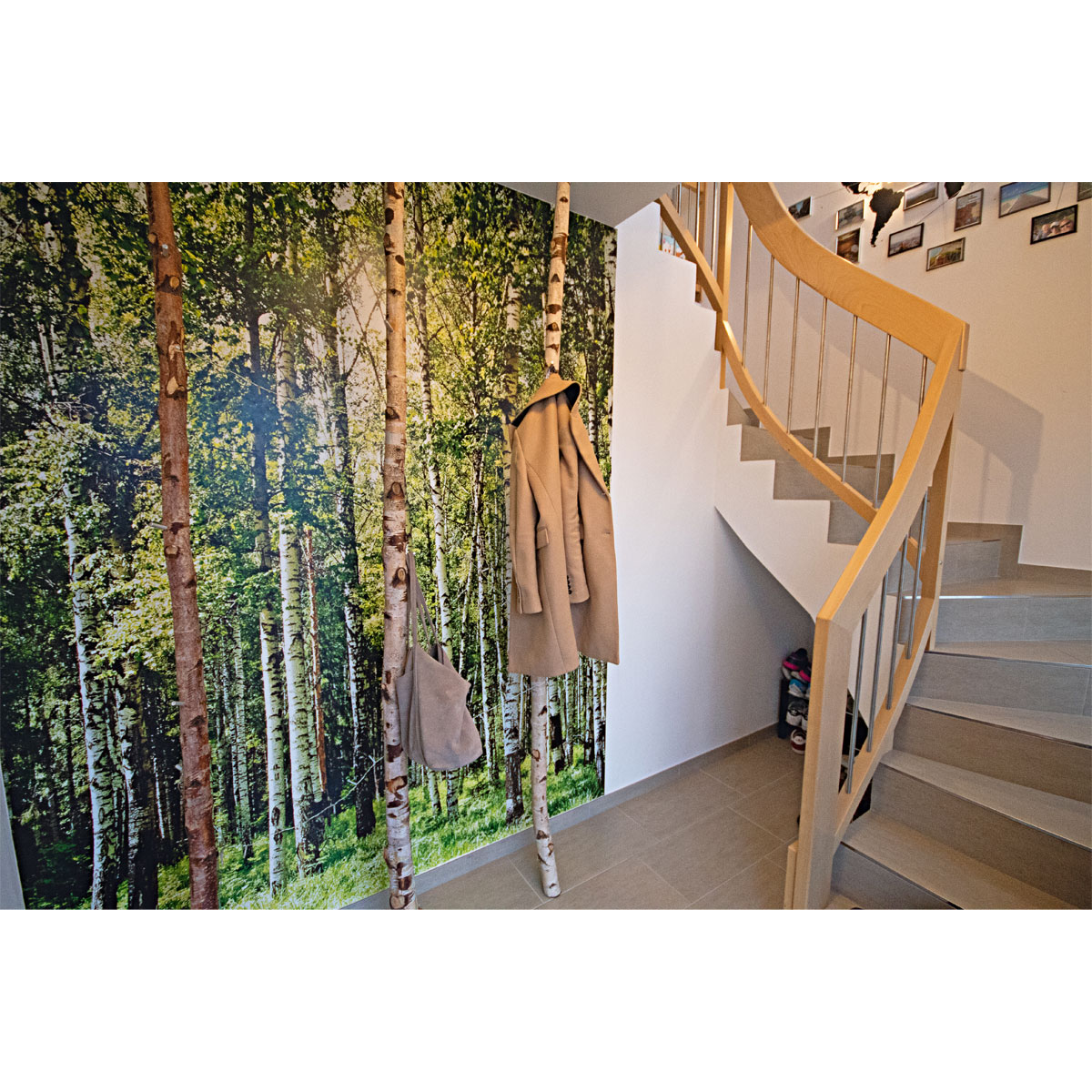 Birkenstamm 90 cm Durchmesser 2-4 cm Bild 7