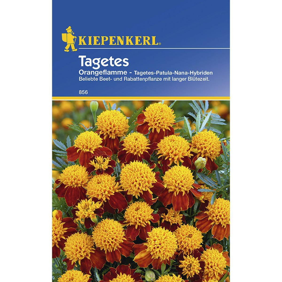 Kiepenkerl Tagetes Orangeflamme gefüllt