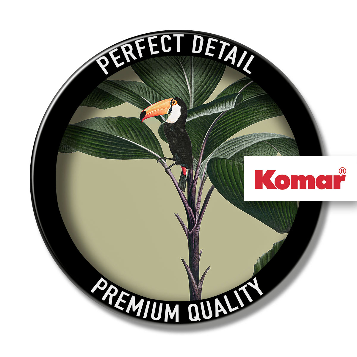 Komar  Wandbild Botanical Garden Palmtree 50x70 cm Bild 3