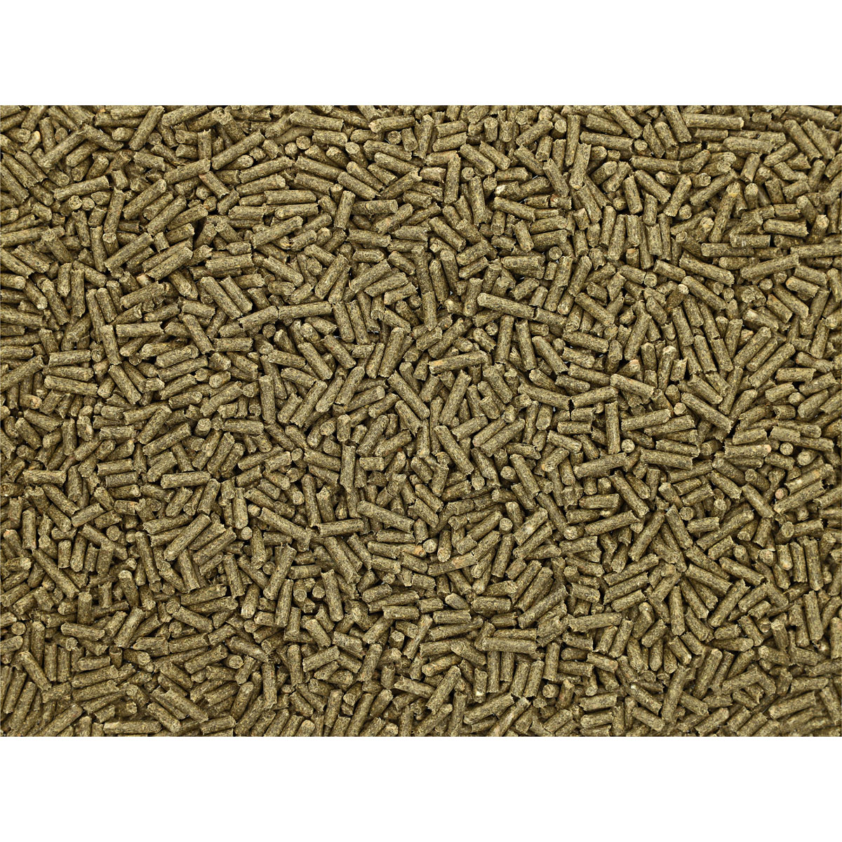 Derby Heu-Ersatz Lutzernfit 25 kg Bild 3