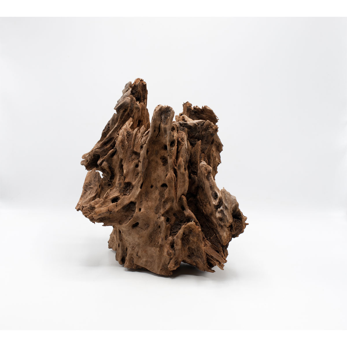 Driftwood Wurzel 40 x 25 cm