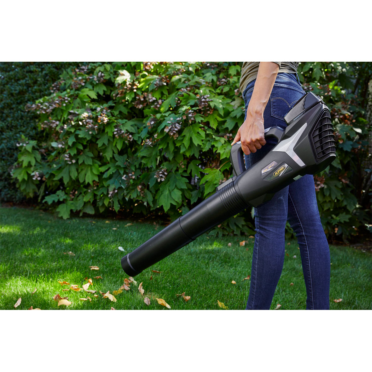 Alpina-Garden Akku-Laubbläser-Set ABL 20 Li 20V 3-teilig Bild 6
