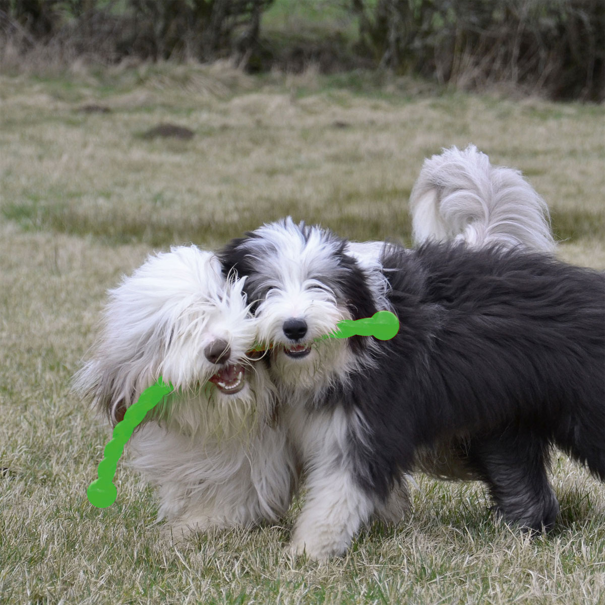 KONG Hundespielzeug Safestix 29 cm Bild 2