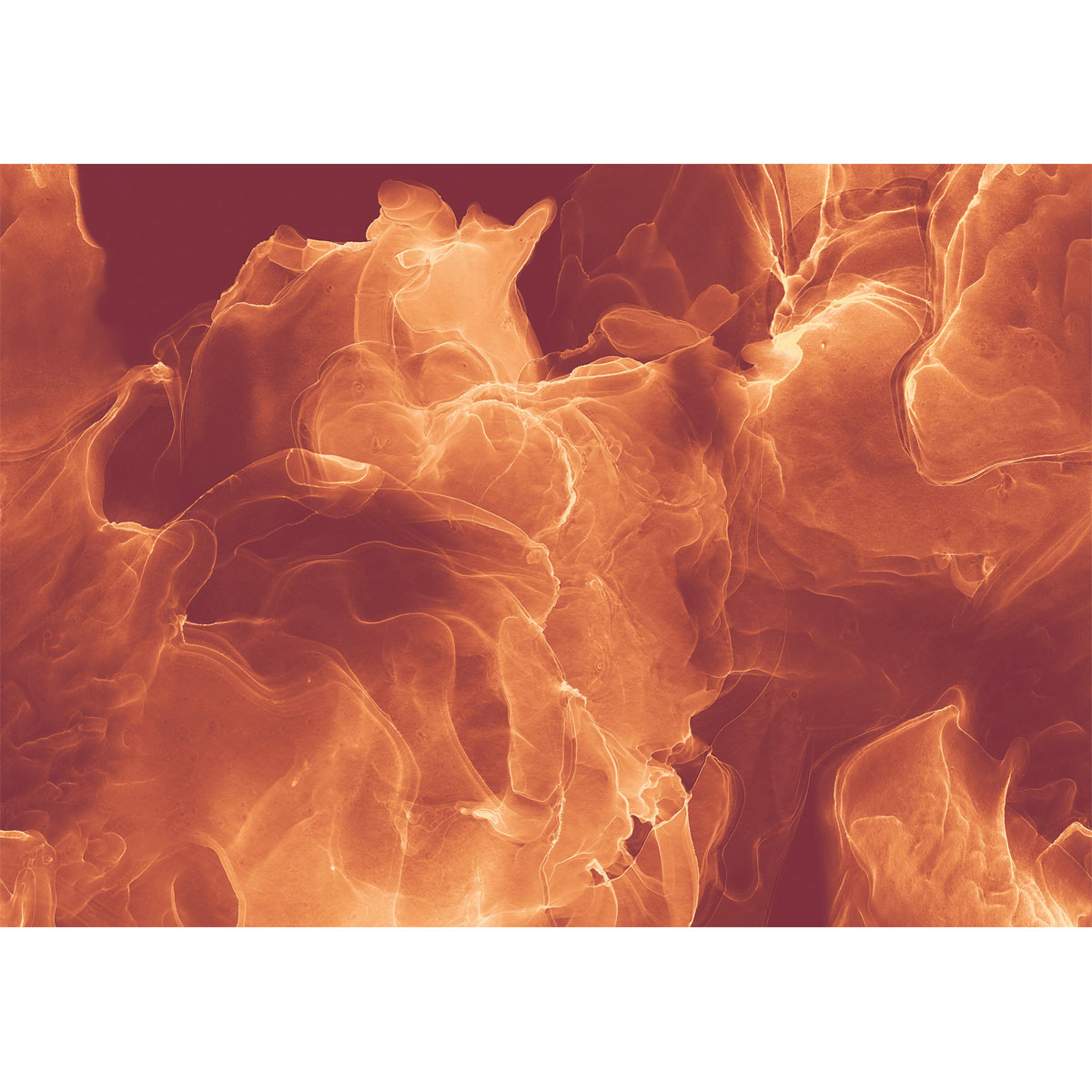 Komar  Vlies Fototapete Evoke 400x280 cm Bild 2