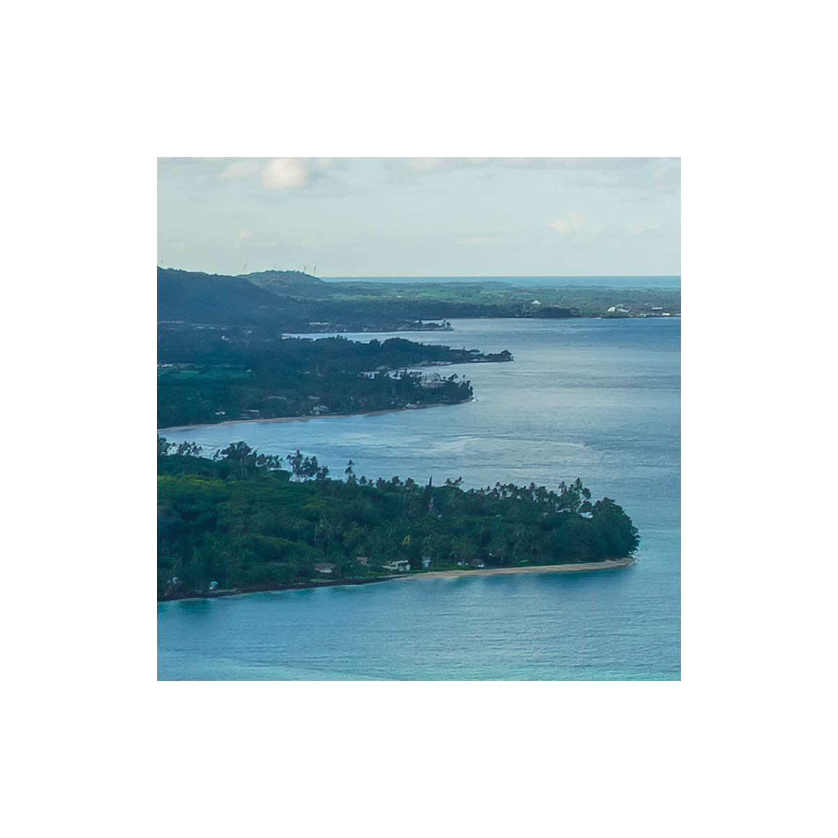 Komar  Vlies Fototapete Jurassic Island 450x280 cm Bild 5