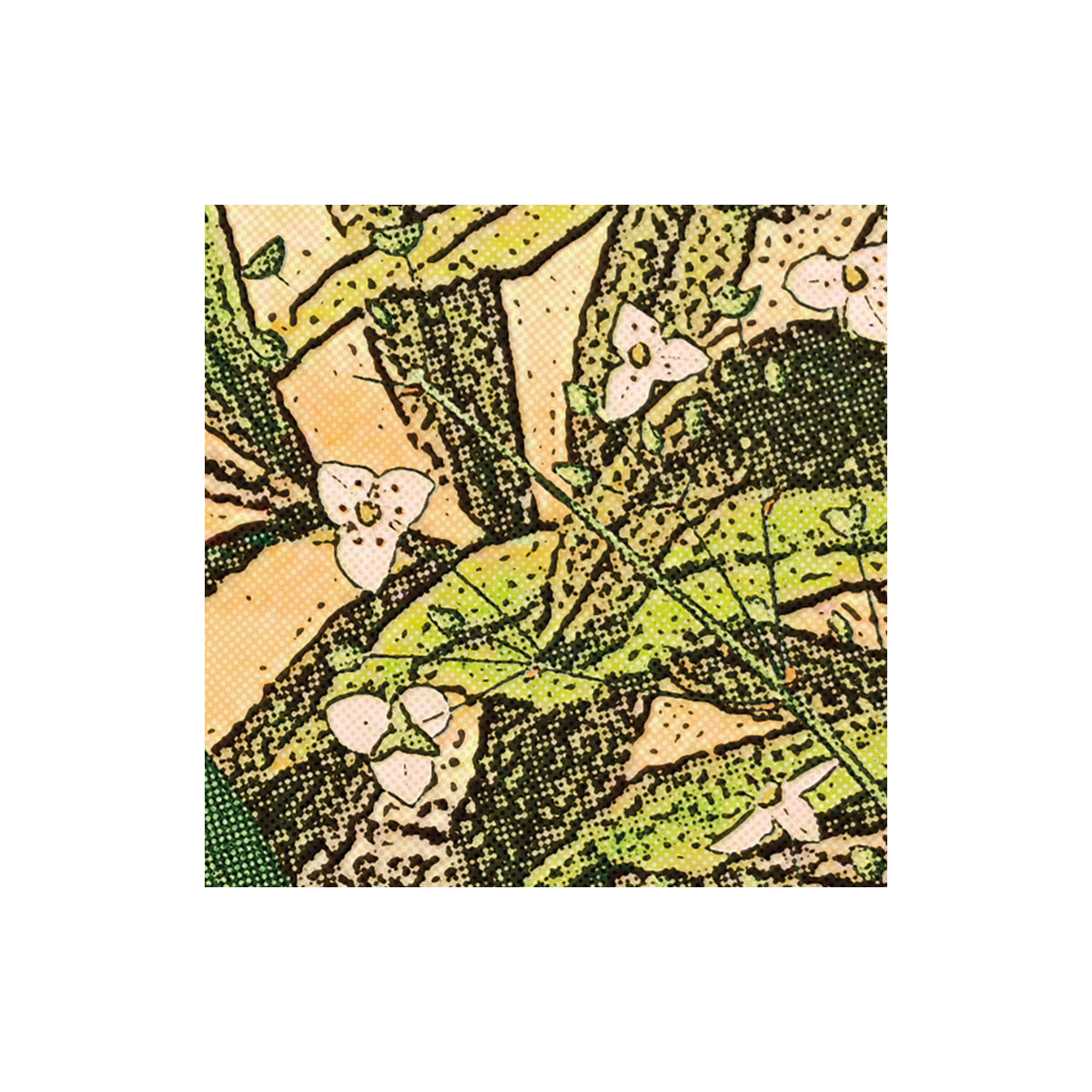 Komar  Vlies Fototapete Oasis 350x250 cm Bild 7