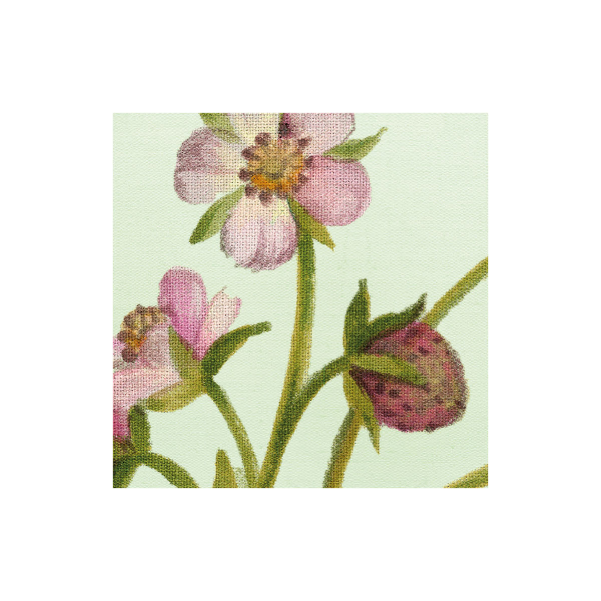 Komar  Vlies Fototapete Oiseaux du Paradis 350x250 cm Bild 5