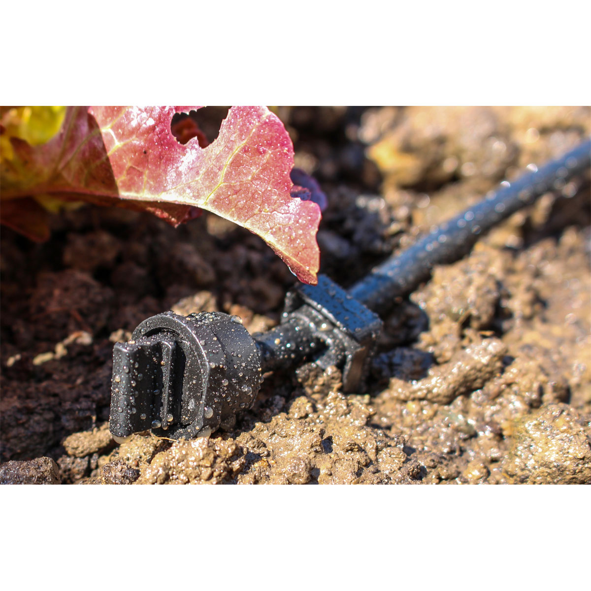 Tropfschlauch „PD25“