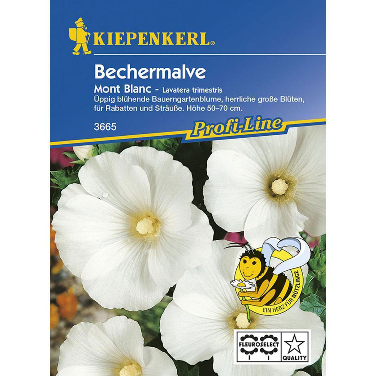 Kiepenkerl Bechermalve Mont Blanc weiß Profi-Line Bild 1