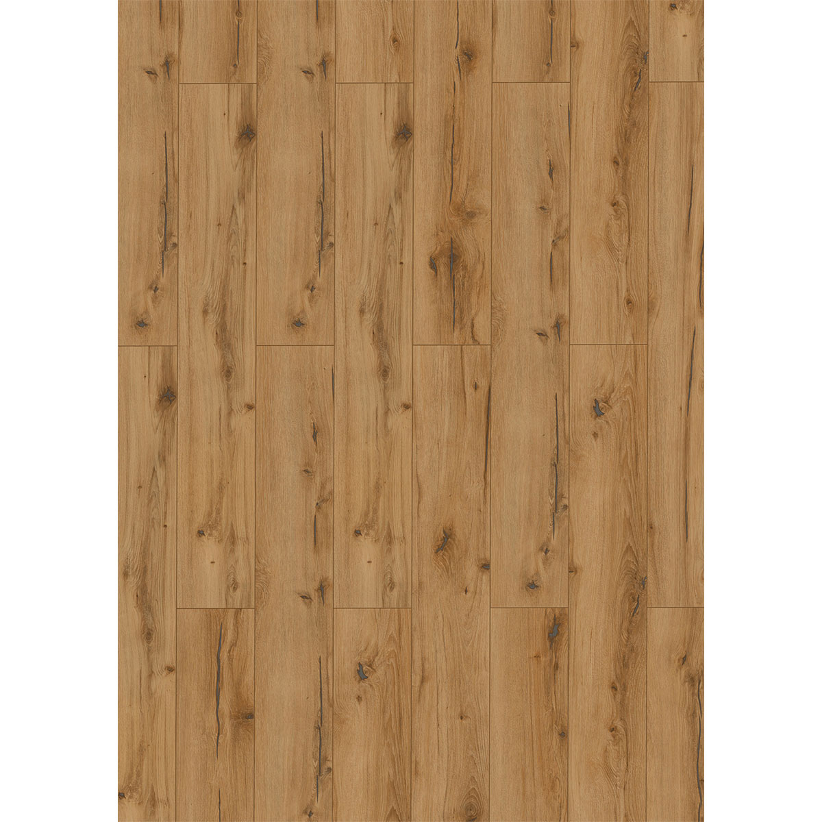 Designboden HydroClick Steineiche Bild 2