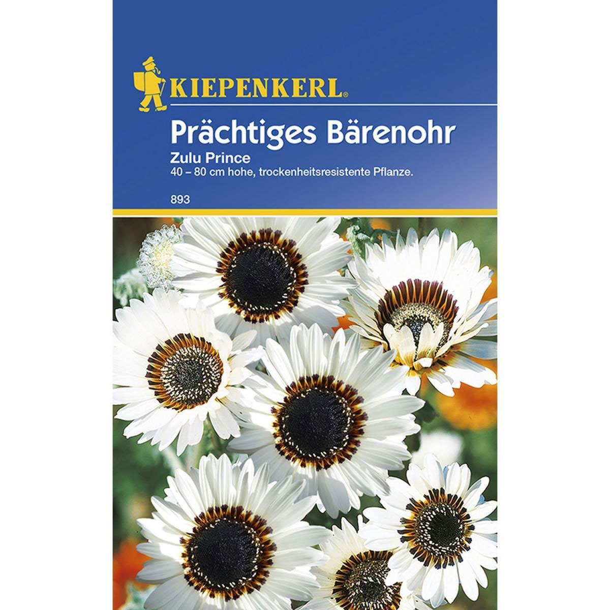 Kiepenkerl Prächtiges Bärenohr Zulu Prince