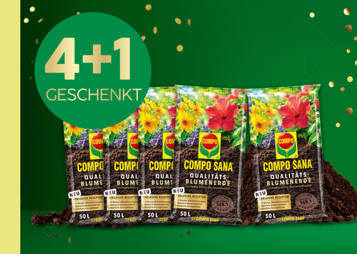 4+1 Aktion Blumenerde