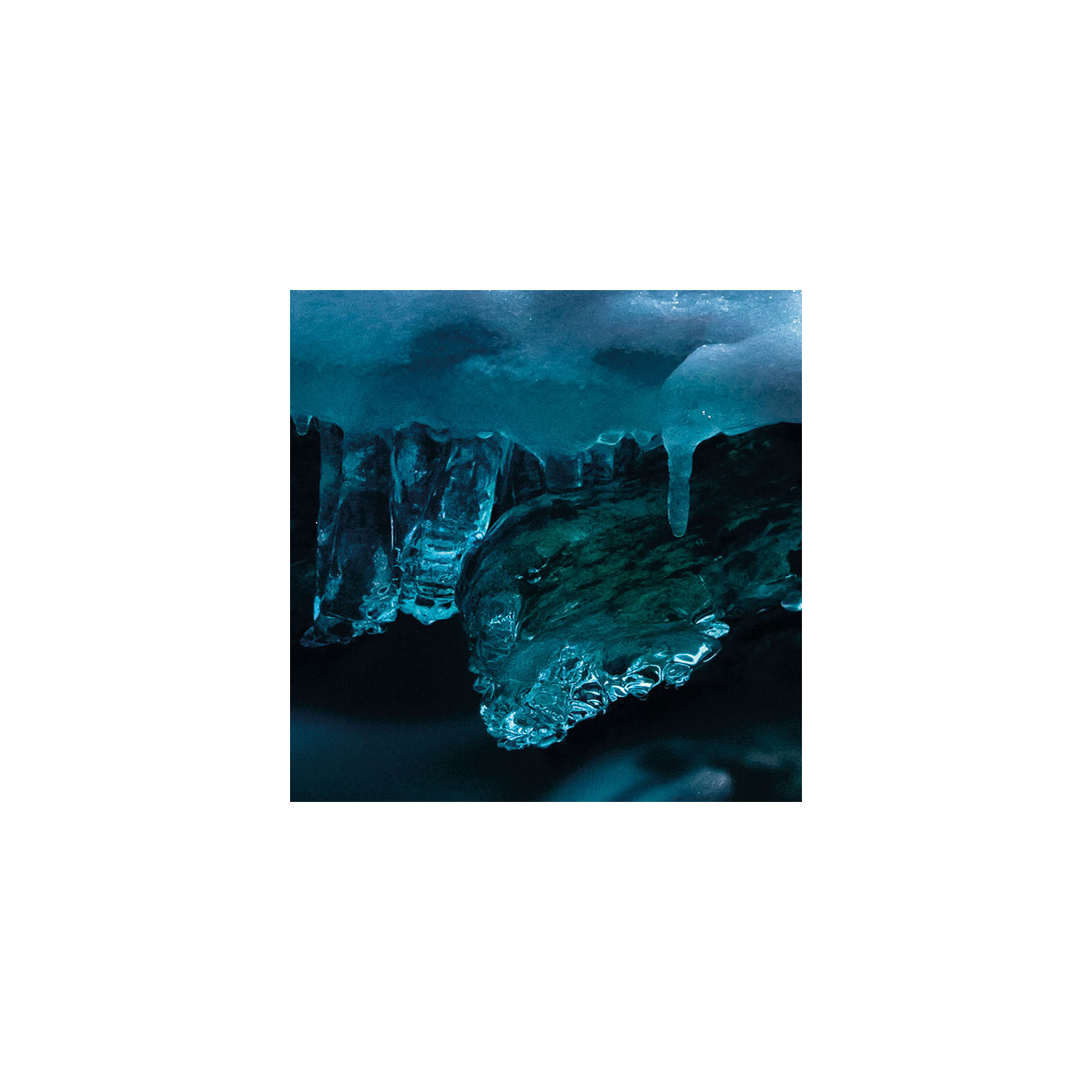 Komar  Vlies Fototapete The Coronation 200x250 cm Bild 5