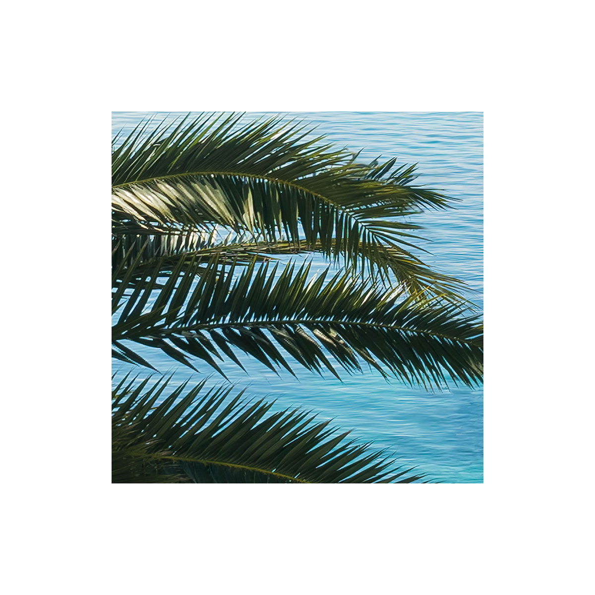 Komar  Vlies Fototapete Paradise View 450x280 cm Bild 3