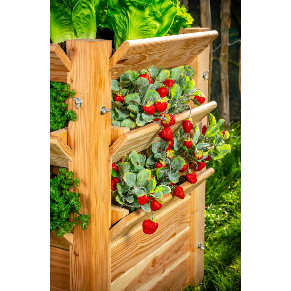 Westmann Hochbeet Premium XXL 124,5x90,5x73cm Bild 4