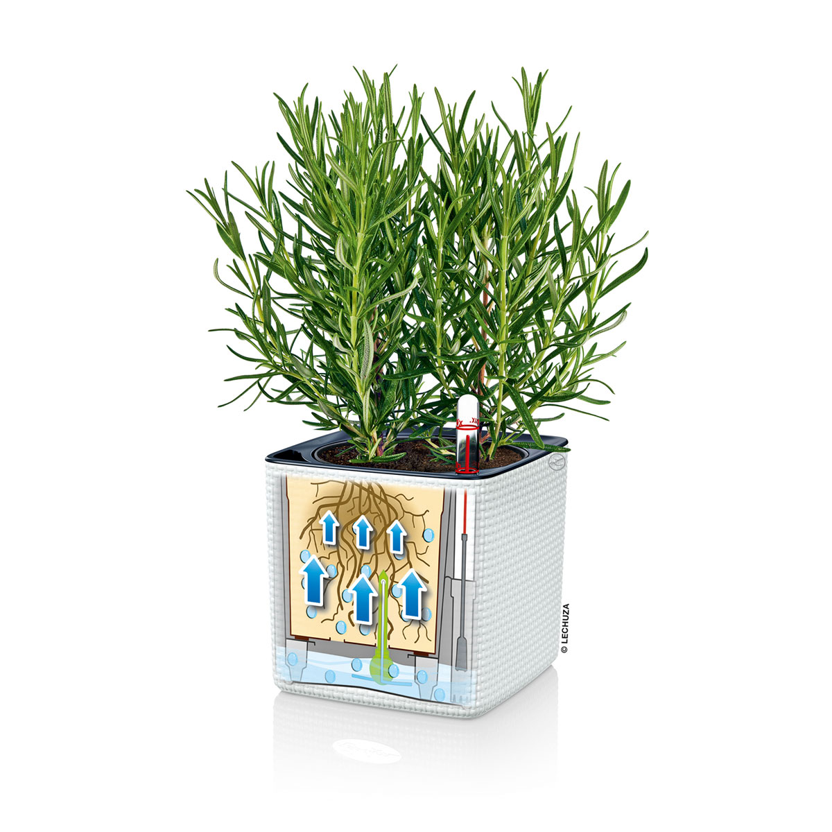 Pflanztopf Cube Color Komplettset 14 cm weiß