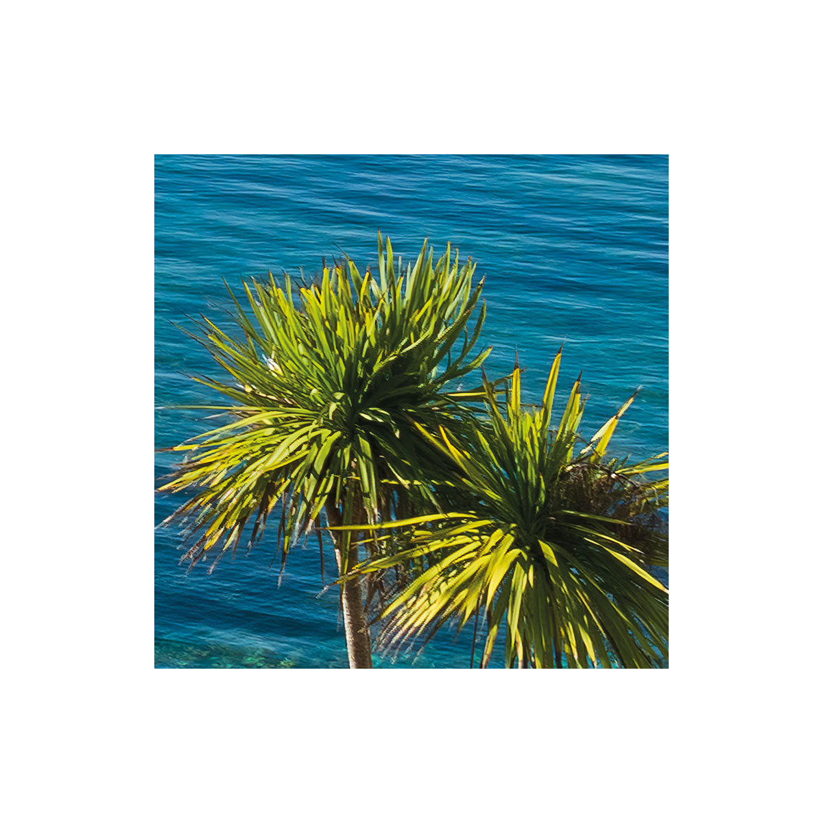 Komar  Vlies Fototapete Paradise View 450x280 cm Bild 5