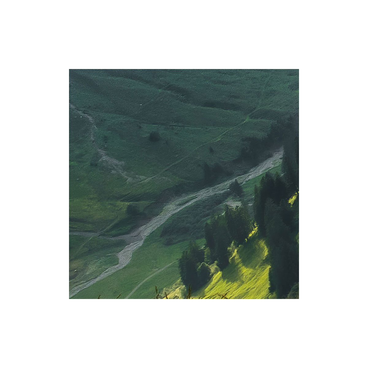 Komar  Vlies Fototapete The Green Queen 450x280 cm Bild 5