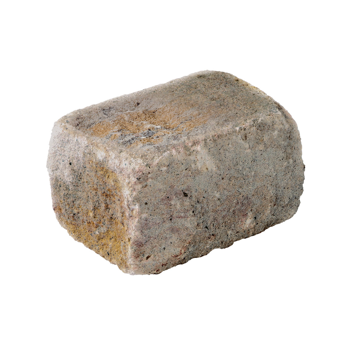 Diephaus  Mauerstein Cup-Mini Muschelk. 25 x 16,5 x 15 cm