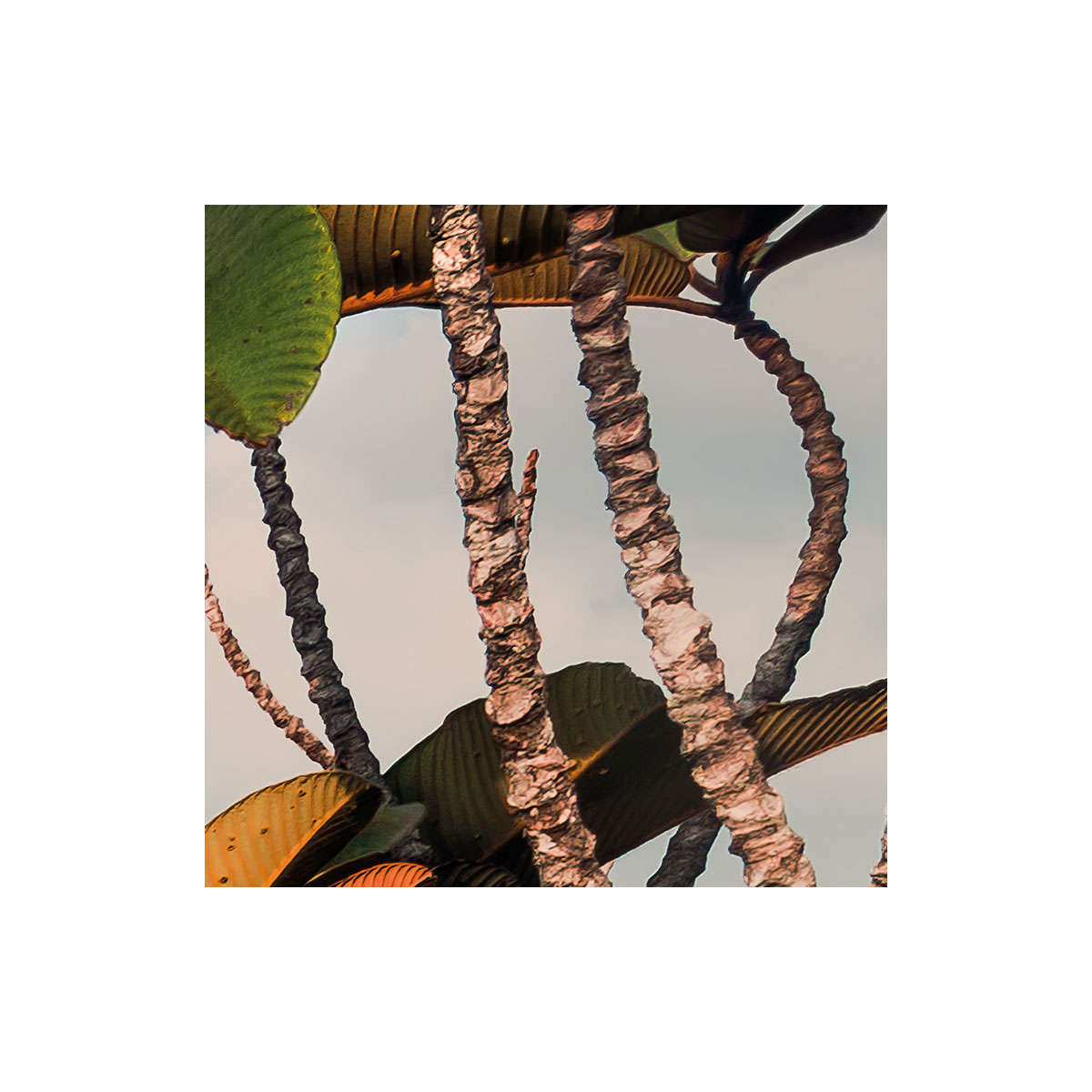 Komar  Vlies Fototapete Heavens Balcony 450x280 cm Bild 8