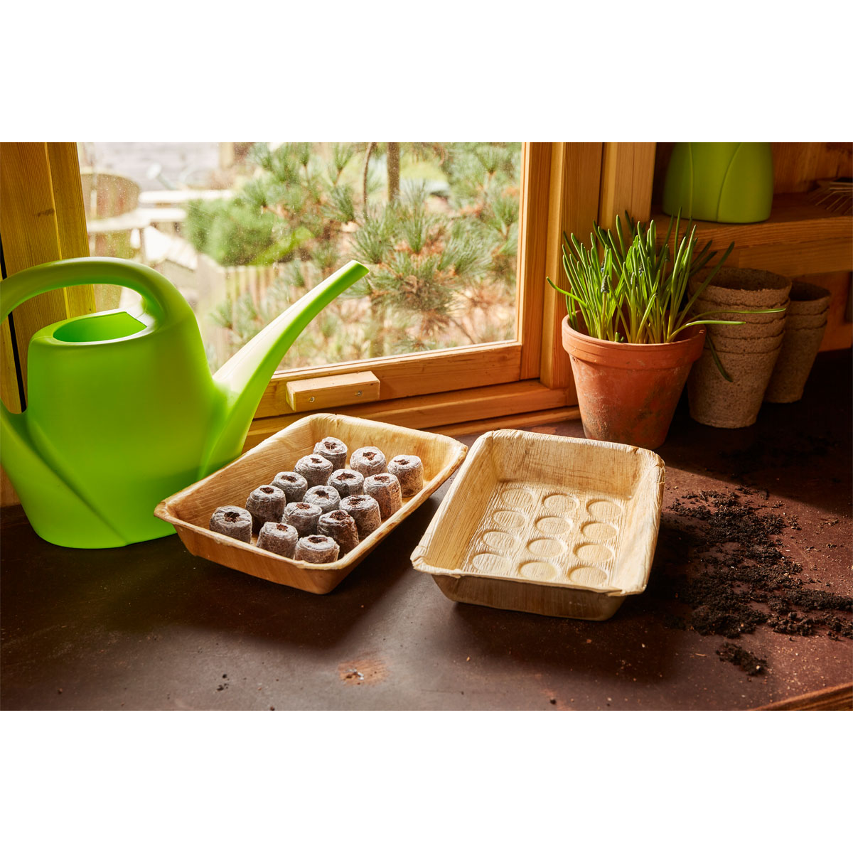 SIENA GARDEN  ECO-Anzuchtschale aus Palmblatt Bild 3