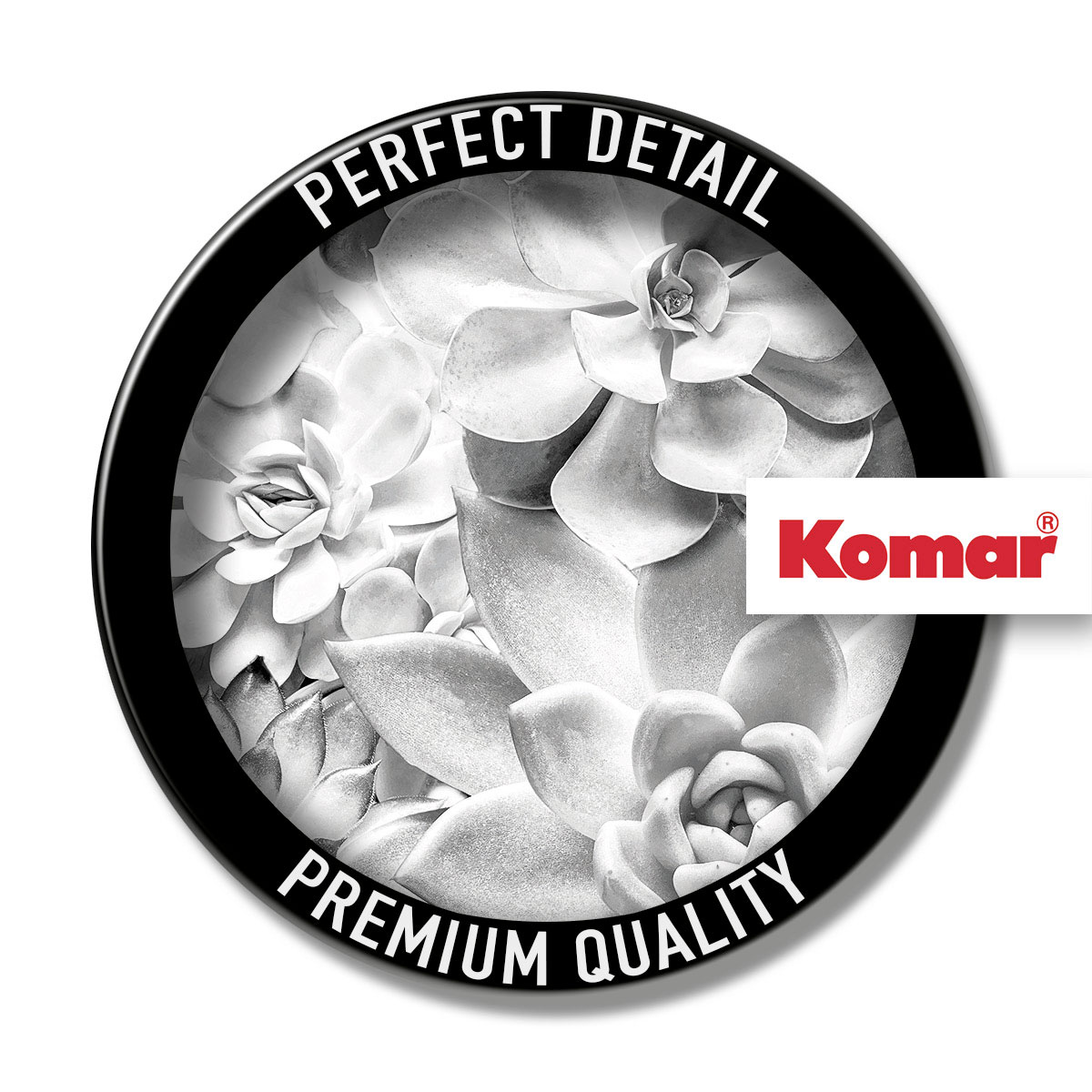 Komar  Selbstklebende Vlies Fototapete rund Echeveria Durchmesser 125 cm Bild 8