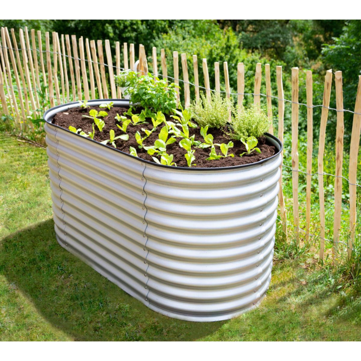 Westmann Hochbeet Grow Faster 80x160x82cm Bild 2