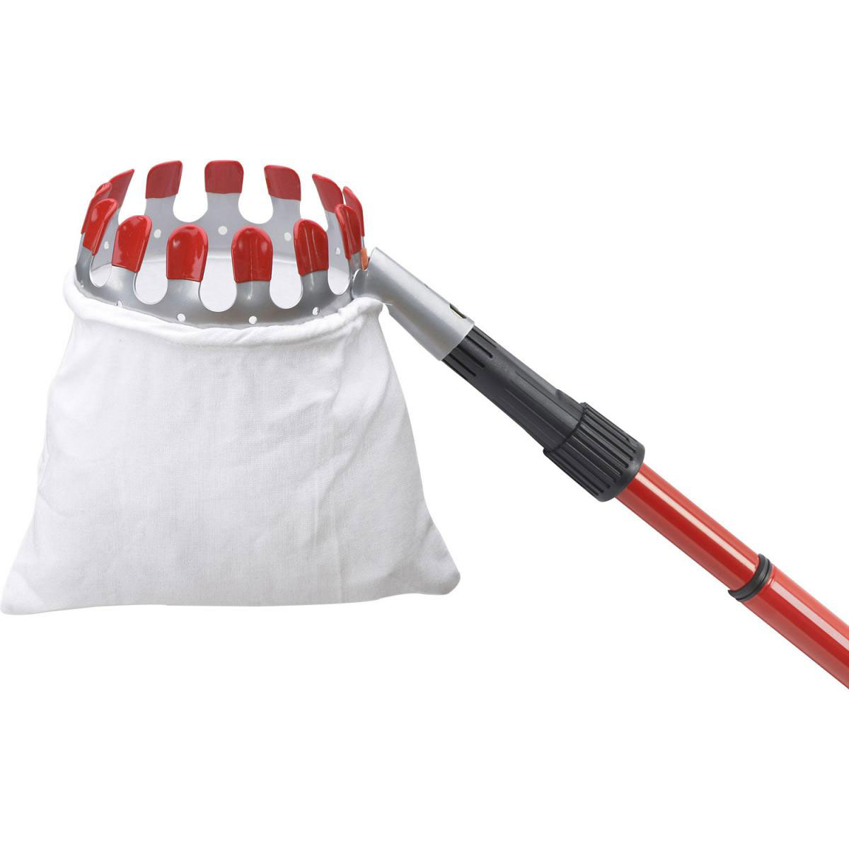 Meister Obstpflücker mit Teleskopstiel